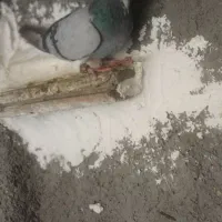 شهری سبز ابی خشکل یقه کیپ نر