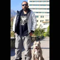 سگ، مربی سگ.تربیت سگ ،آموزش سگ / پانسیون و سگ