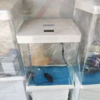 آکواریوم های ماهیران، دلسا، آکوا، apa|ماهی|شیراز, درکی|دیوار