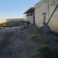 اجاره زمین مناسب انبارداری، کارگاهی، دامی، کشاورزی|اجارهٔ دفتر صنعتی، کشاورزی، تجاری|شبستر, |دیوار