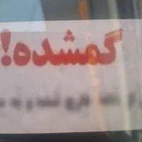 مدارک گمشده فرزاد وحدت