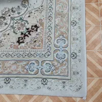 قالی شش متری|فرش|شیراز, گلشن|دیوار