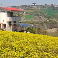 فروش زمین با چشم انداز عالی ساری بام شهر (اسبورز)