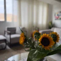 اجاره اپارتمان جمهوری