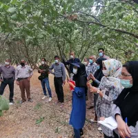 دوره جامع مدیریت باغداری(احداث واحیای باغات) )
