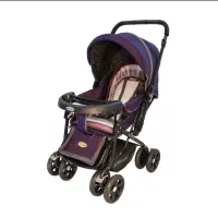 کالسکهکاملاآک ونودلیجان وروروعک دلیجان درحدنو