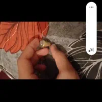 اتیقه زیر خاکی