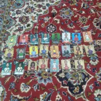 کوتیشیخ خیابان پروانه