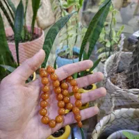 تسبیح کهربا|جواهرات|تبریز, |دیوار