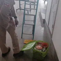 سم پاشی تخصصی انواع حشرات موذی و زنده گیری حیوانات|خدمات نظافت|بندر کنگان, |دیوار
