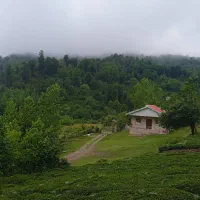 ویلا جنگلی دوراطراف قلعه رودخان