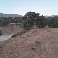 زمین باغی پلیس راه یاسوج اصفهان کنار رودخانه بشار|فروش زمین و ملک کلنگی|یاسوج, |دیوار