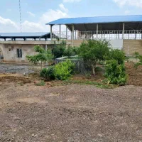 اجاره سوله۴۰۰۰م برق۳۲۰ کد۲۰۴۳|اجارهٔ دفتر صنعتی، کشاورزی، تجاری|زاویه, |دیوار