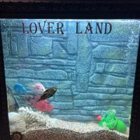 آکواریوم دیواری  رومیزی/عرض۱۵ ،طول ۶۰ ، ارتفاع ۶۲/