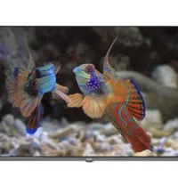 تلویزیون ۴۳