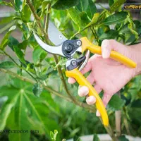 انجام امورباغبانی سمپاشی هرس