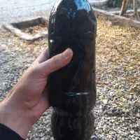 شیره انگور در جه یک