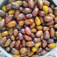خرما|خوردنی و آشامیدنی|بافق, |دیوار
