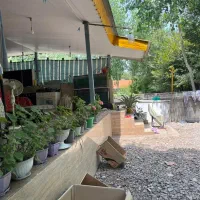 ویلای ۳۰۰ متری لوکشین گردشگری و جنگلی|فروش خانه و ویلا|رشت, بازار|دیوار