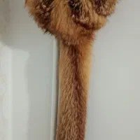کلاه پشمی اصل