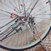 دوچرخه سربندری|دوچرخه، اسکیت، اسکوتر|رامشیر, |دیوار