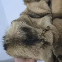 پالتو پوست اصل