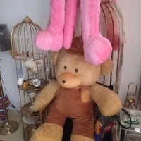 خرس|اسباب‌‌بازی|رشت, ولکس|دیوار