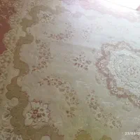 یک جفت فرش ۹متری سالم بدون زدگی وسوختگی