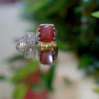 باغ تالار لاکچری ازدواج آسان پکیج کامل