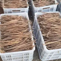 فروش انواع نشا آنغوزه طبس و کاشمر