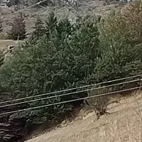 فروش زمین مسکونی