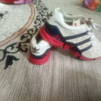 کفش|کیف، کفش، کمربند|الوند, |دیوار