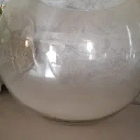 یک عدد تنگ بزرگ ماهی