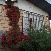 باغ