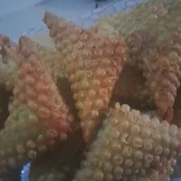 سمبوسه|خوردنی و آشامیدنی|تهران, جوادیه تهرانپارس|دیوار