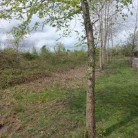 باغ / ویلایی / ۶۵۰۰متری /  لاکانشهر