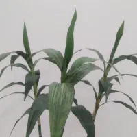 سه عددشاخه بامبوبهمراه گلدان شیشه ای|گل مصنوعی|رشت, حمیدیان|دیوار