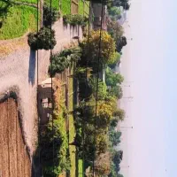 نگهبان موسسه کشاورزی