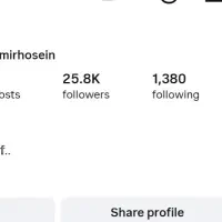 پیج ۲۵کا فروش