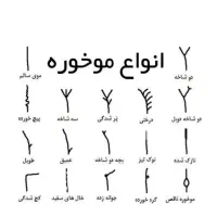 آموزش تخصصی موخوره گیری روسی