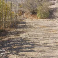 فروش زمین ییلاقی ابگرم لاریجان|فروش زمین و ملک کلنگی|آکند, |دیوار