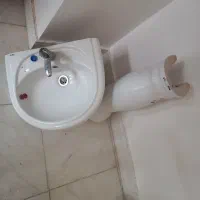 روشوی سالم و بزرگ هفشجان