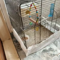 قفس بزرگ پرنده|لوازم جانبی حیوانات|بوکان, |دیوار