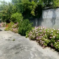 داخل شهر ، خ ۲۲ بهمن ، دربست|اجارهٔ خانه و ویلا|نوشهر, |دیوار