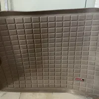 کف پایی دنا