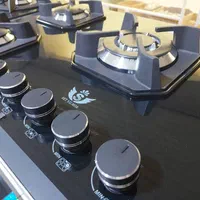 اجاق گاز پلاس 1644|اجاق گاز و لوازم برقی پخت‌وپز|شیراز, تندگویان|دیوار