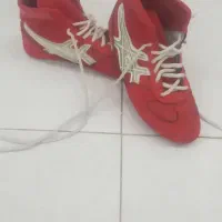 کفش کشتی  در حدنو