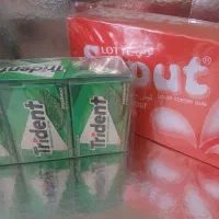 فروش مواد غذایی ته لنجی