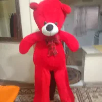 خرس خوشگل شیک قرمز