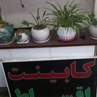 تابلو|تابلو، نقاشی، عکس|شیراز, بعثت|دیوار